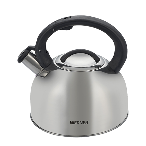 Чайник для плиты Werner Revere 50150